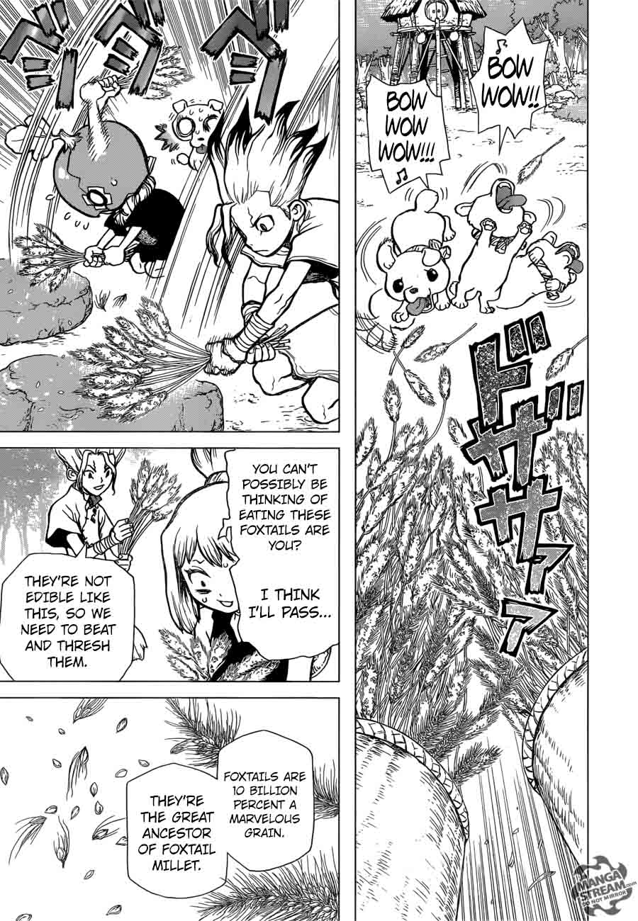 Dr Stone 22 11