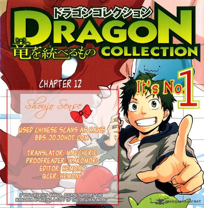 Dragon Collection 12 1