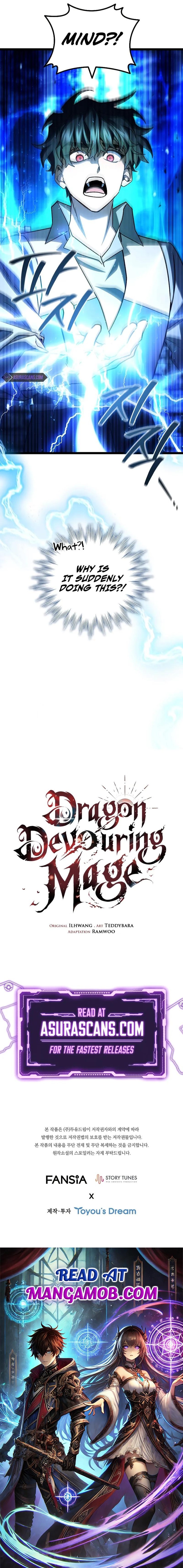 Dragon Devouring Mage 75 12