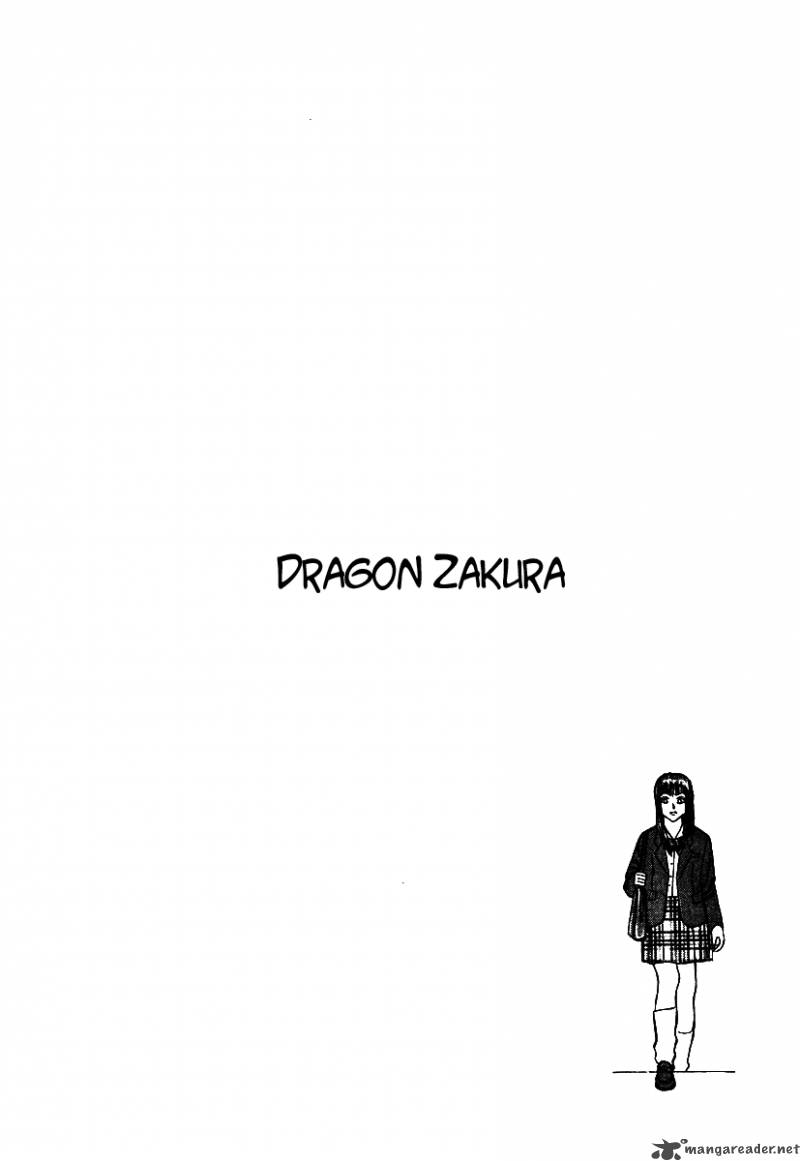 Dragon Zakura 2 2