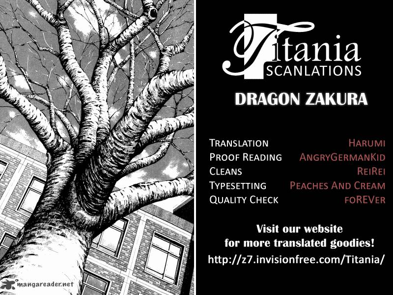Dragon Zakura 24 23