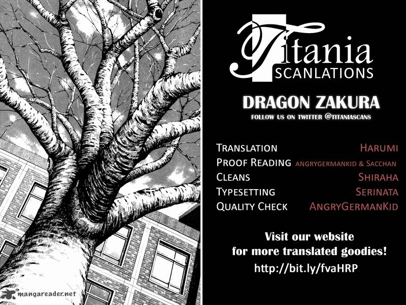 Dragon Zakura 26 23