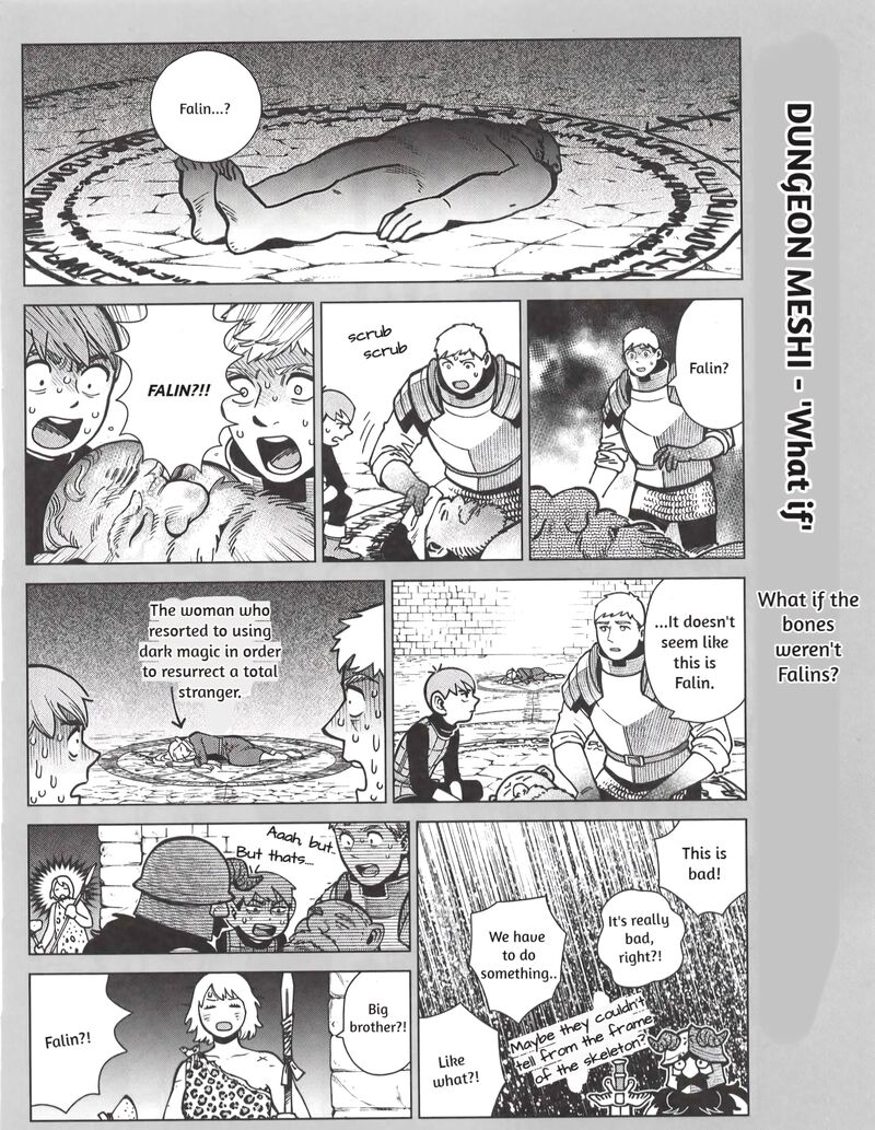 Dungeon Meshi 97z 6