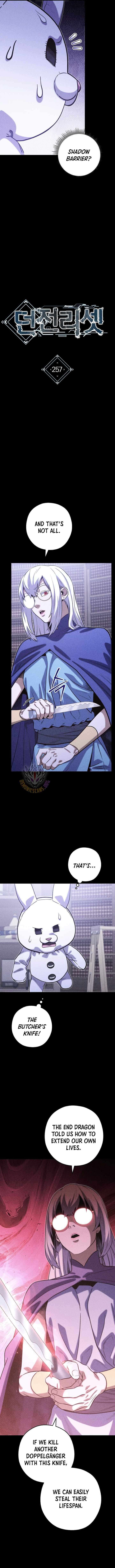 Dungeon Reset 257 3