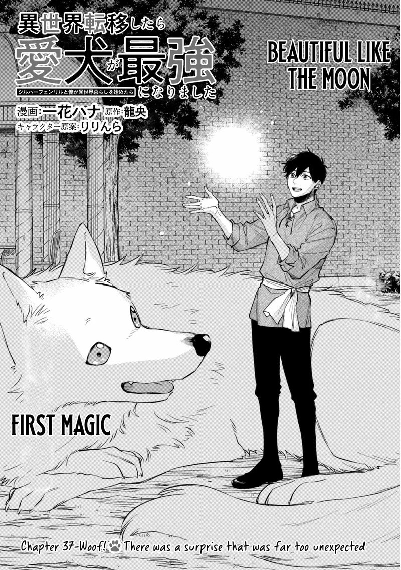 Eiyuu To Kenja No Tensei Kon 37 1