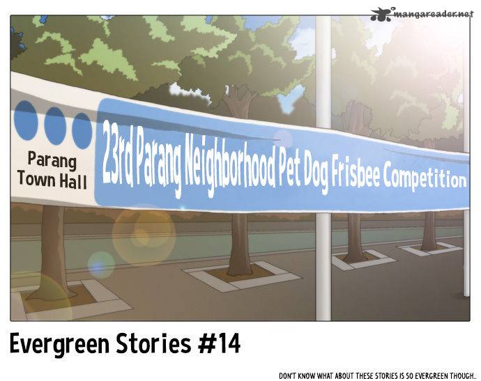 Evergreen Stories 14 2