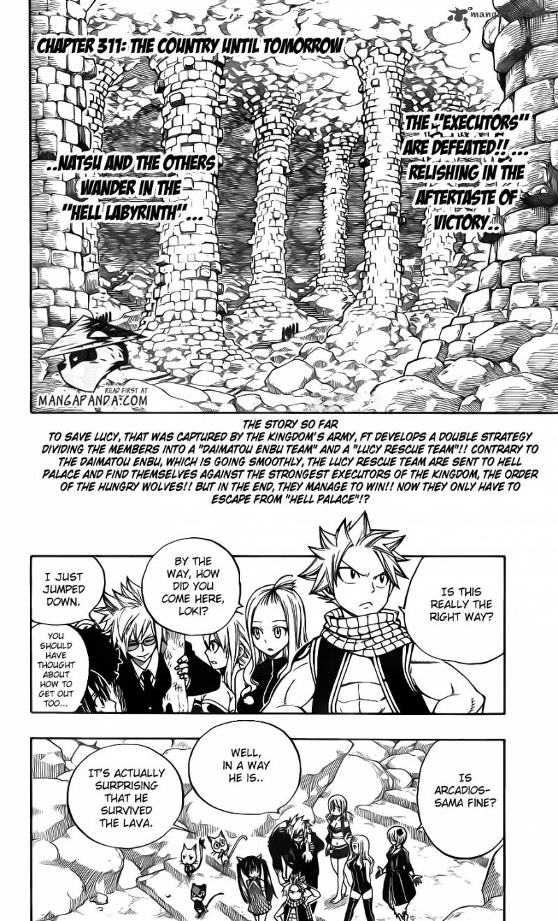 Fairy Tail 311 4