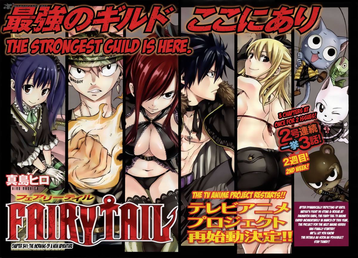 Fairy Tail 341 2