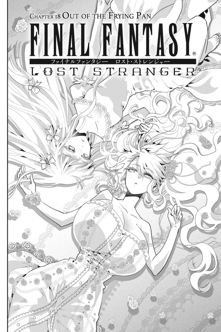 Final Fantasy Lost Stranger 18 3