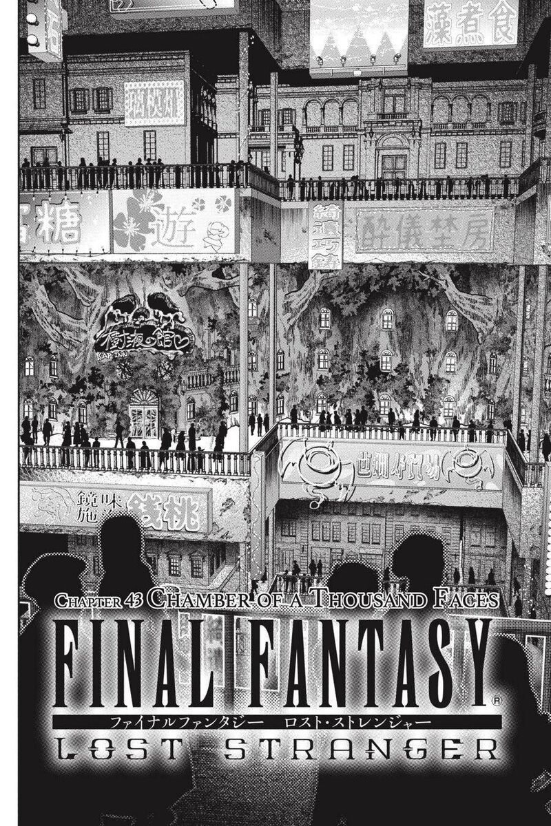 Final Fantasy Lost Stranger 43 3