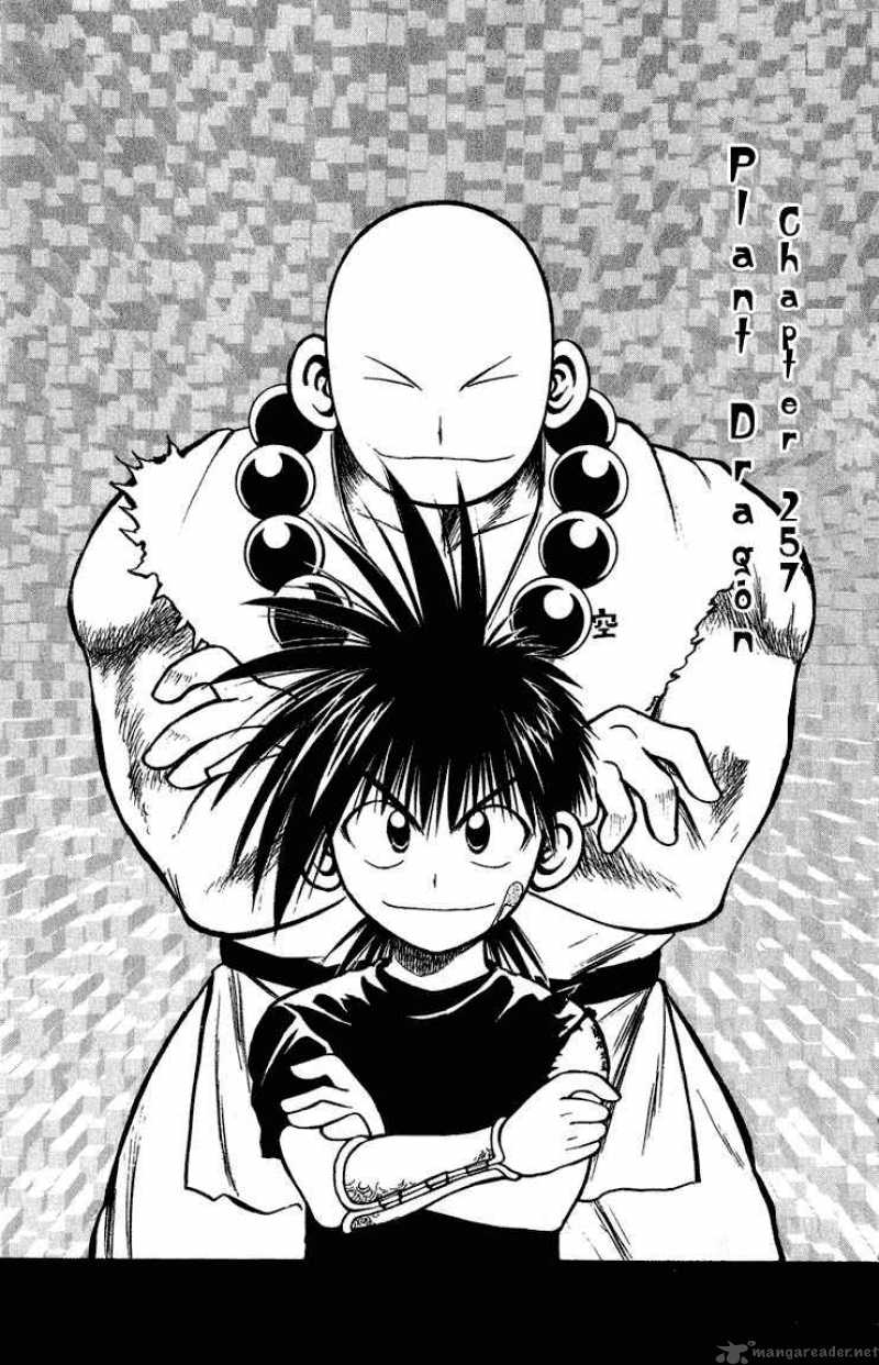 Flame Of Recca 258 1