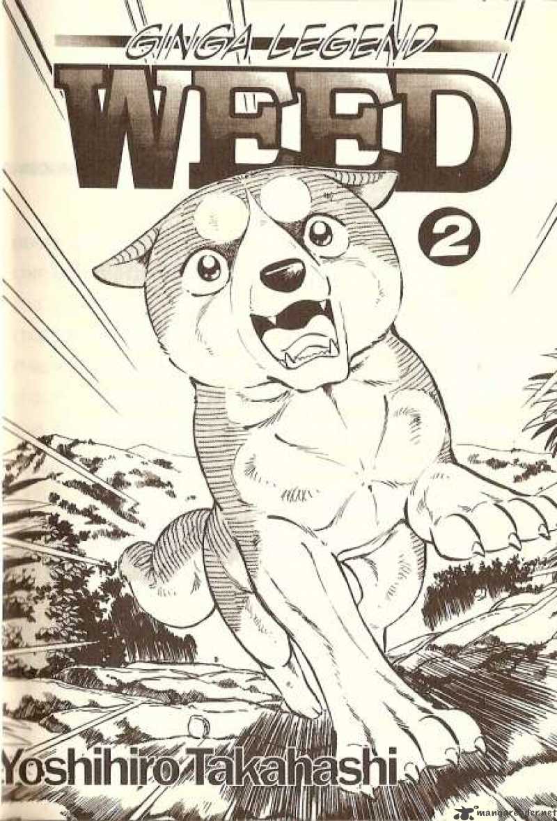 Ginga Densetsu Weed 11 1