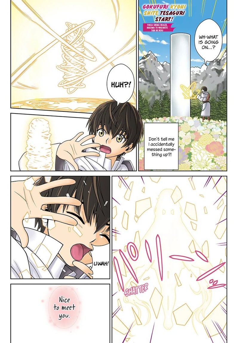 Gokufuri Kyohi Shite Tesaguri Start Tokka Shinai Healer Nakama To Wakarete Tabi Ni Deru 1 1