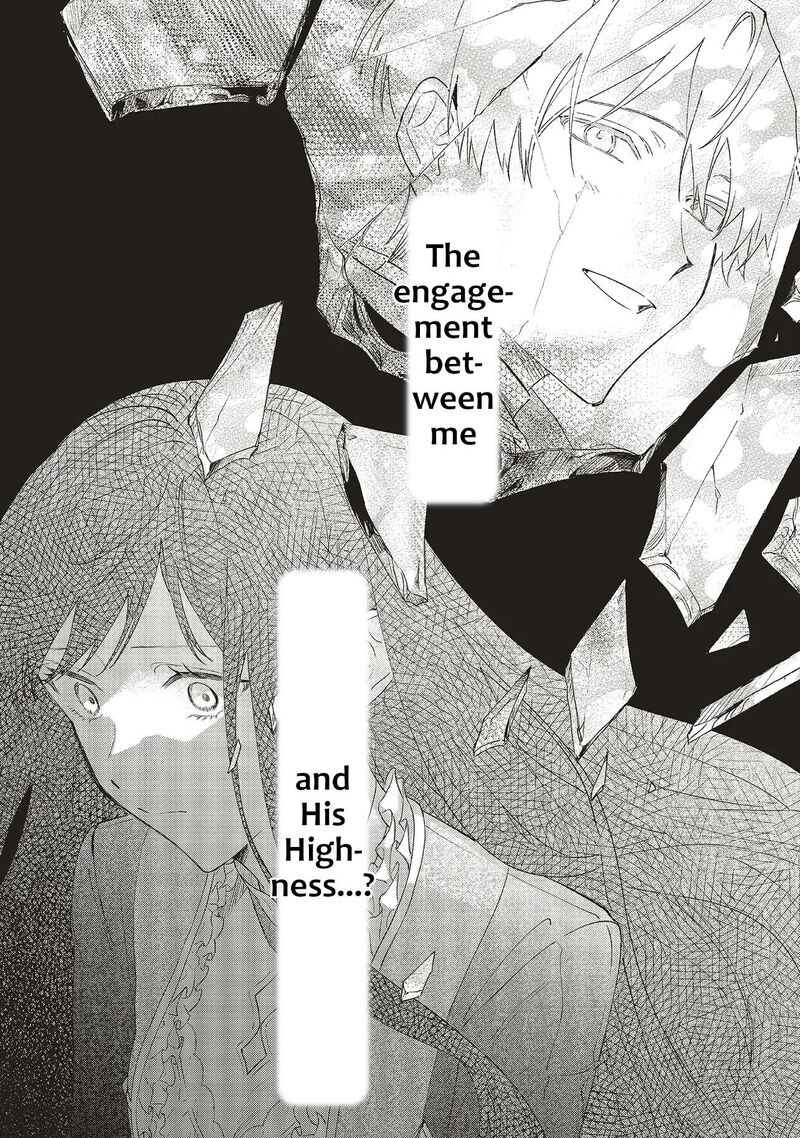 Gyakkou Shita Akuyaku Reijou Wa Naze Ka Maryoku Wo Ushinattanode Shinsou No Reijou Ni Narimasu 29 34