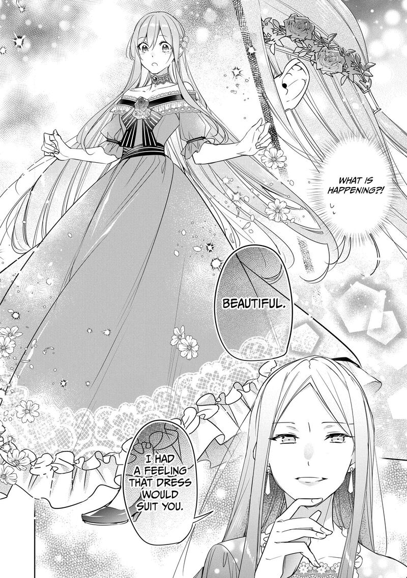 Gyakutaisarete Ita Shouka No Reijou Wa Seijo No Chikara Wo Te Ni Ire Mujikaku Ni Youshanaku Gyakushuu Suru 12 22