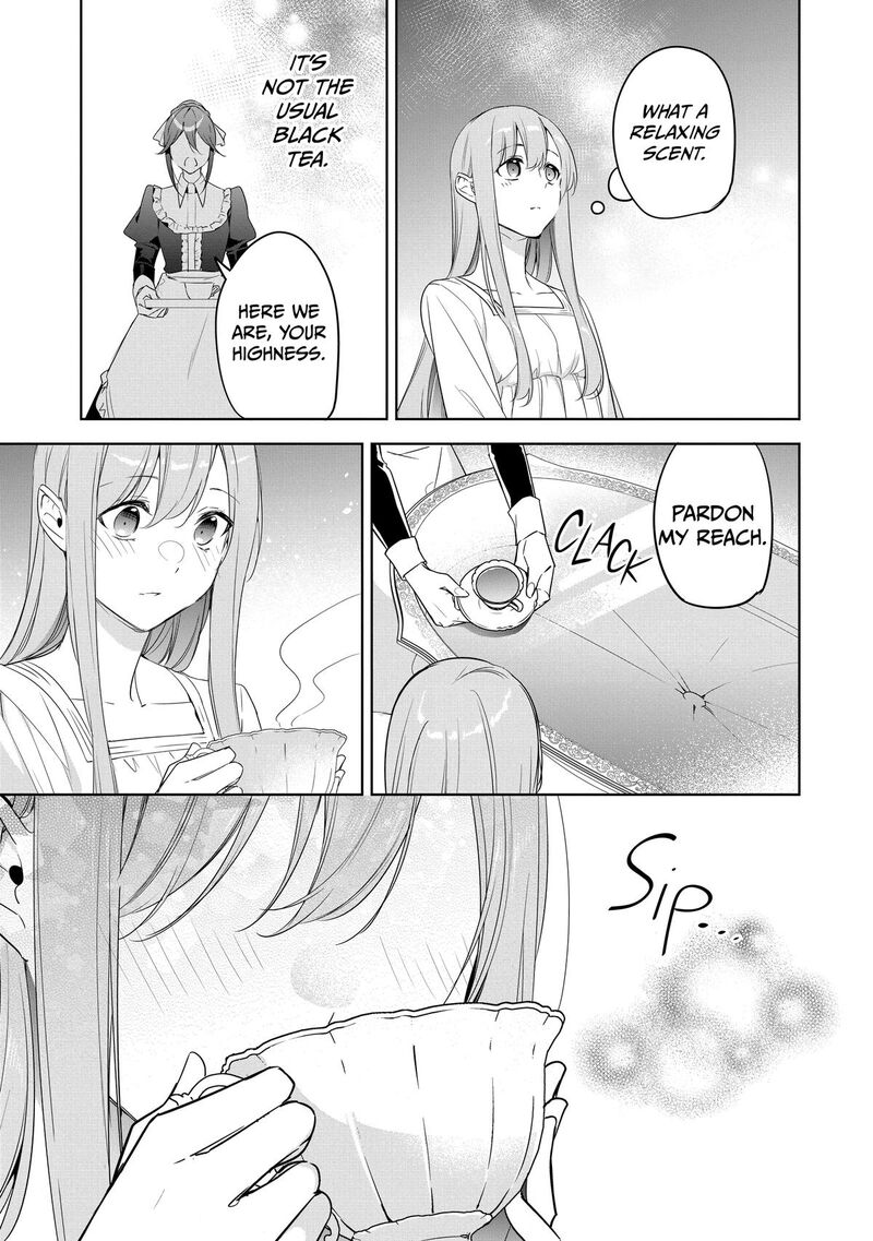 Gyakutaisarete Ita Shouka No Reijou Wa Seijo No Chikara Wo Te Ni Ire Mujikaku Ni Youshanaku Gyakushuu Suru 13 19