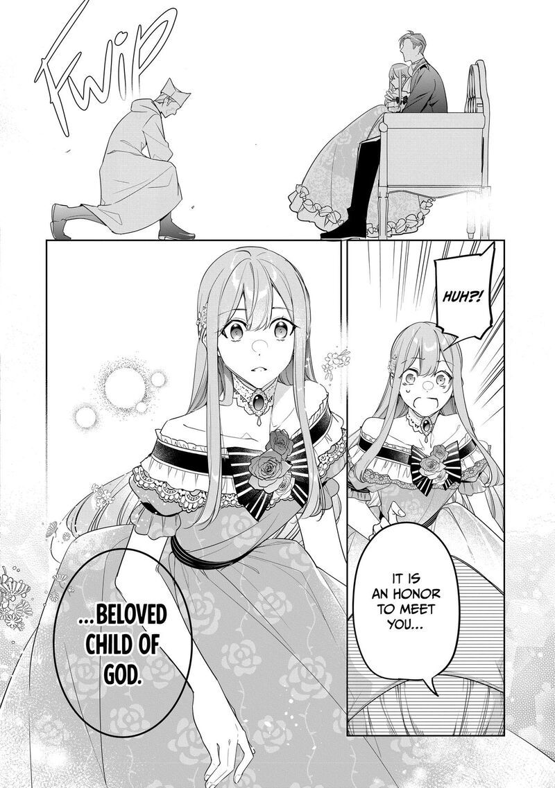 Gyakutaisarete Ita Shouka No Reijou Wa Seijo No Chikara Wo Te Ni Ire Mujikaku Ni Youshanaku Gyakushuu Suru 16 8