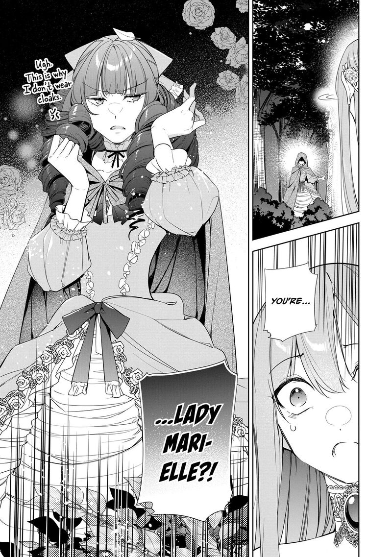 Gyakutaisarete Ita Shouka No Reijou Wa Seijo No Chikara Wo Te Ni Ire Mujikaku Ni Youshanaku Gyakushuu Suru 17 25