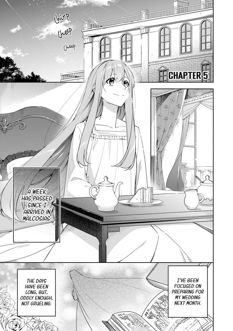 Gyakutaisarete Ita Shouka No Reijou Wa Seijo No Chikara Wo Te Ni Ire Mujikaku Ni Youshanaku Gyakushuu Suru 5 1
