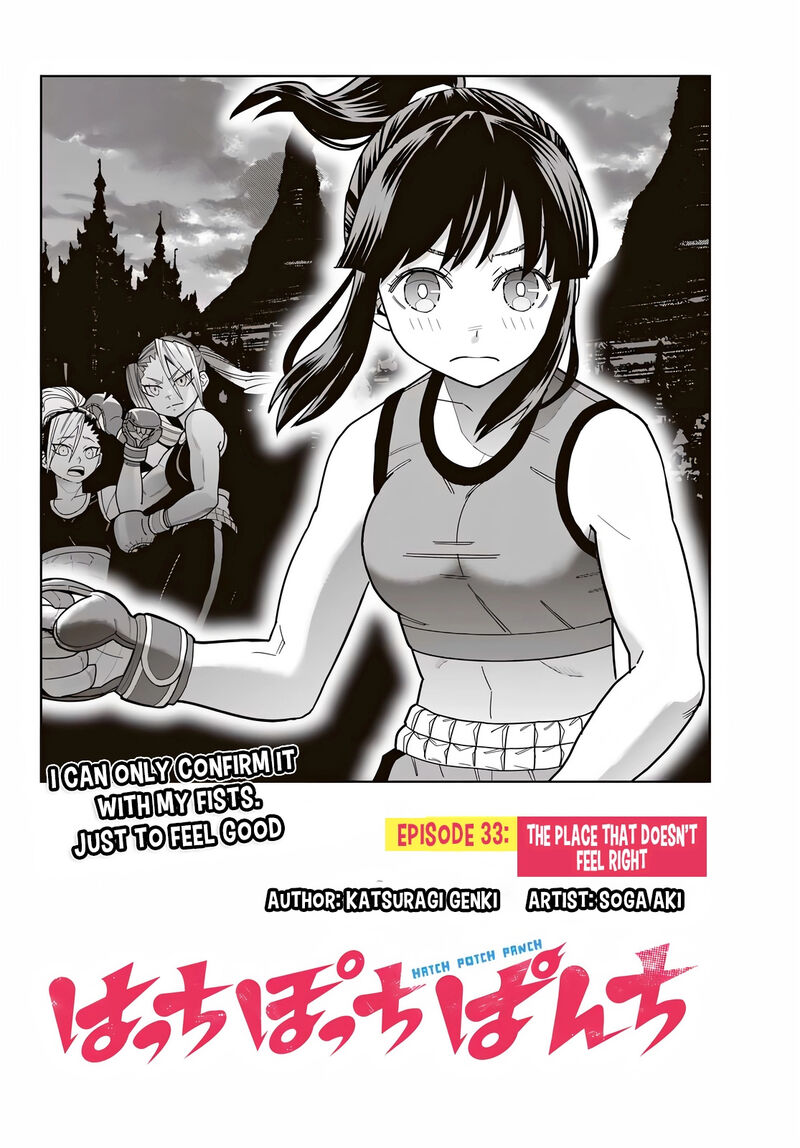 Hatch Potch Panch 33 3