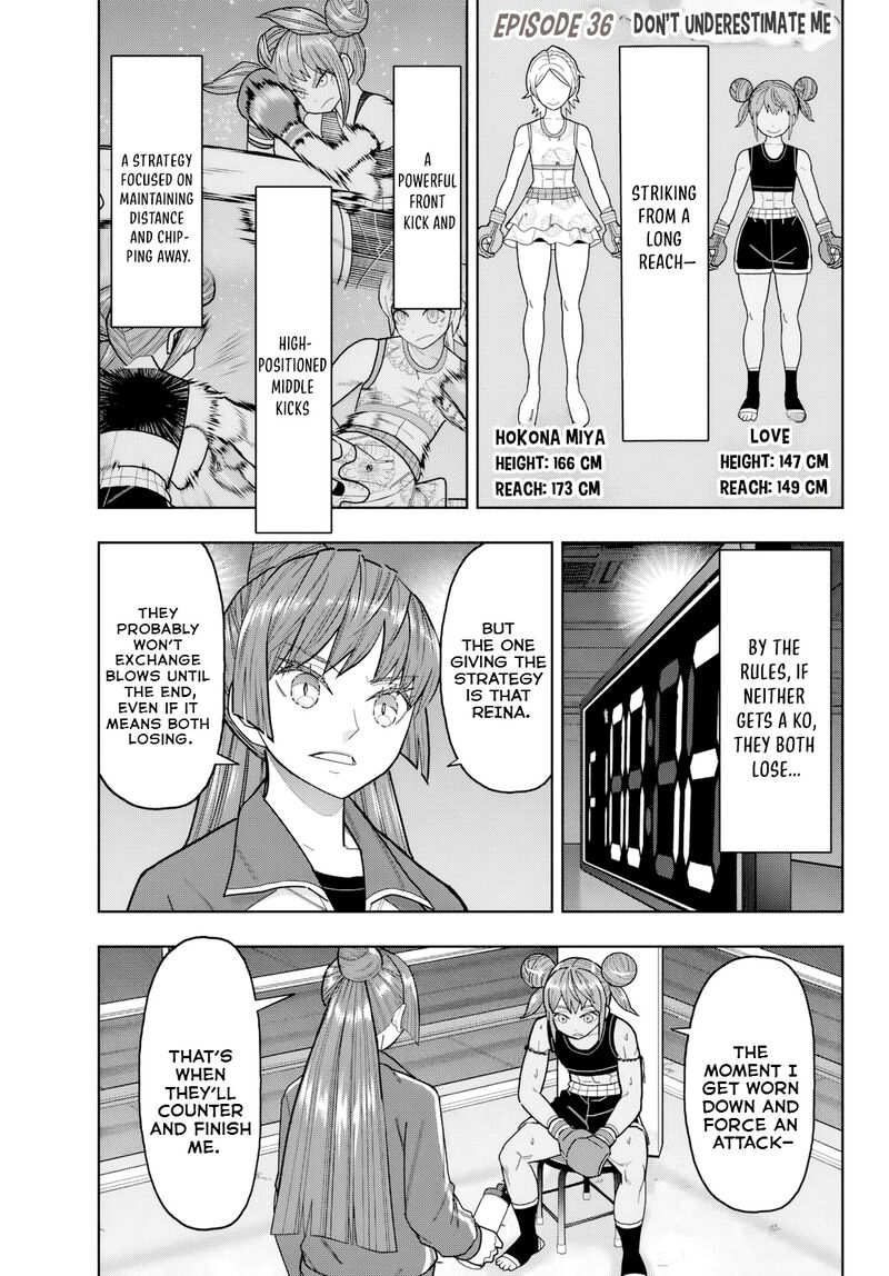 Hatch Potch Panch 36 2