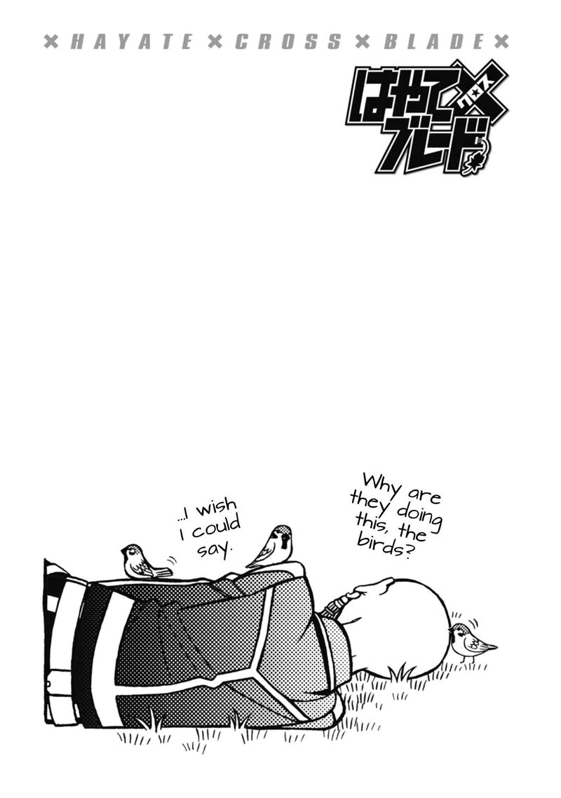 Hayate X Blade 108 25