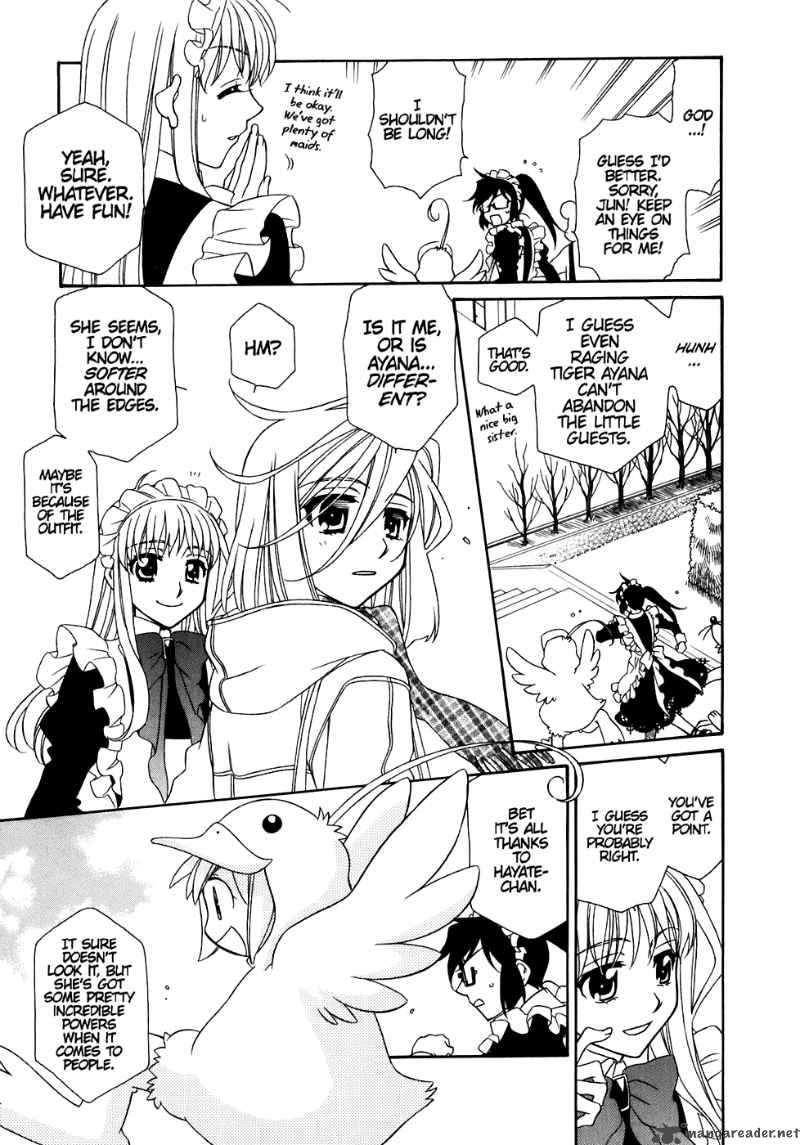 Hayate X Blade 31 19