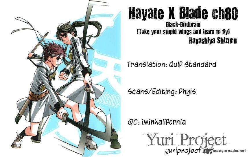 Hayate X Blade 80 33