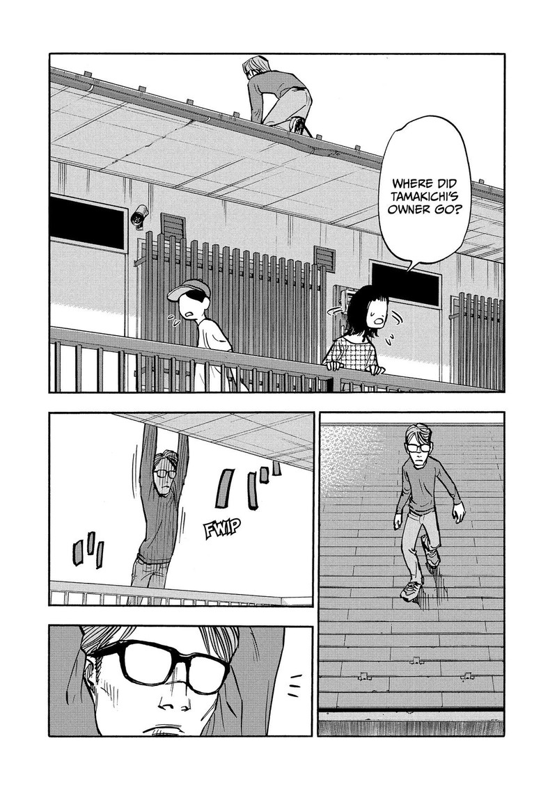 Heiwa No Kuni No Shimazaki E 20 11