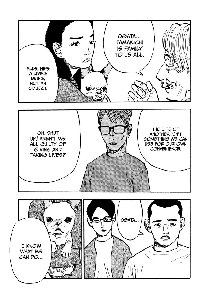 Heiwa No Kuni No Shimazaki E 34 5