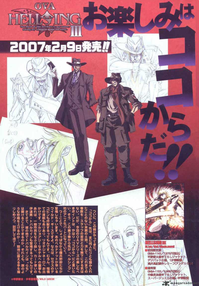 Hellsing 80 20