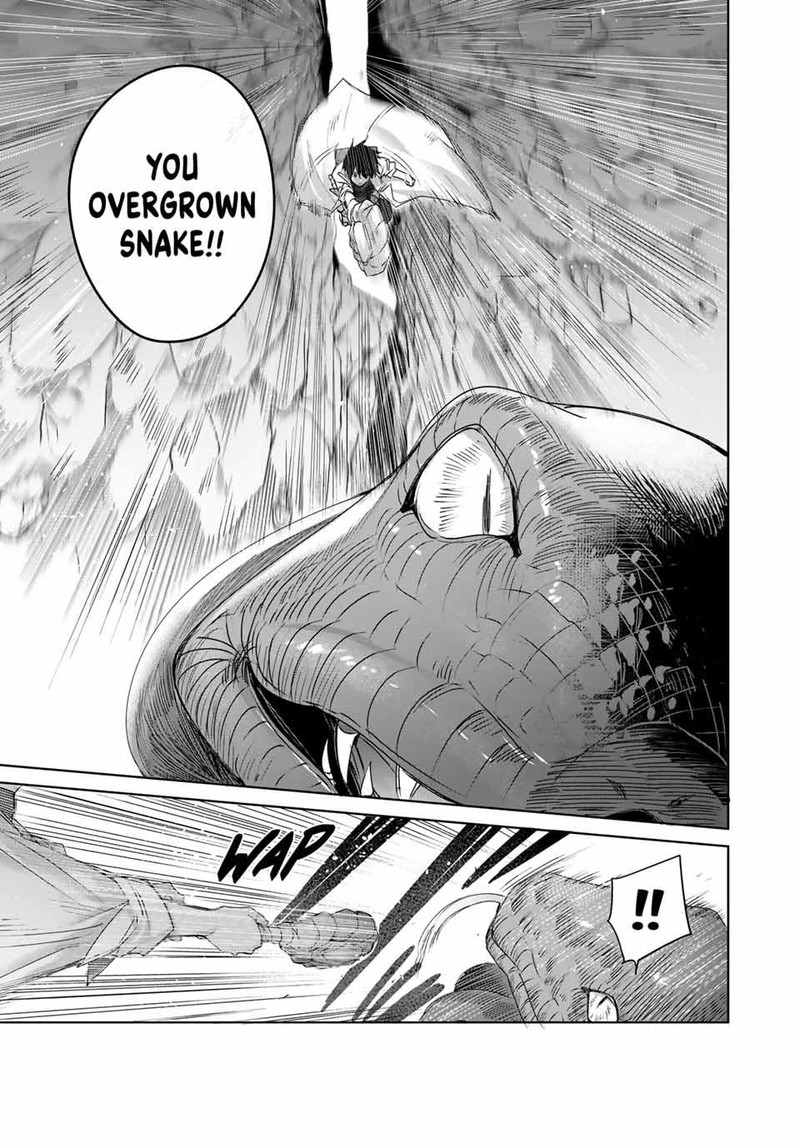 Henkyou No Yakushi Miyako De S Rank Boukensha To Naru 14 11