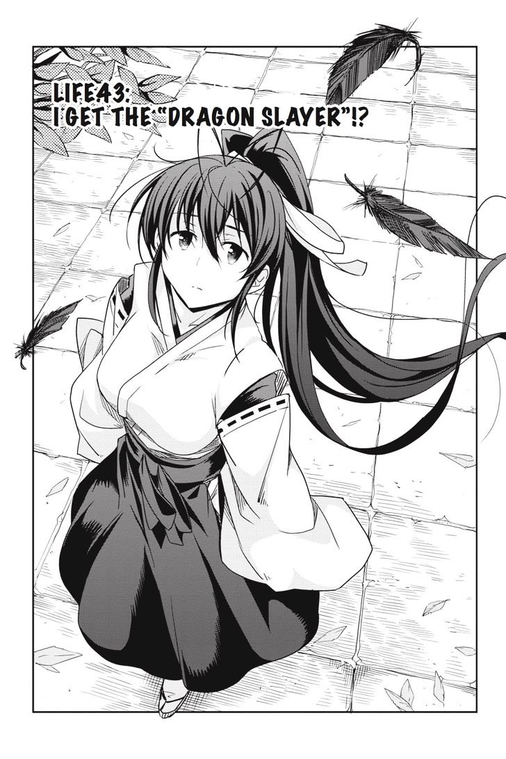 Highschool Dxd 43 1