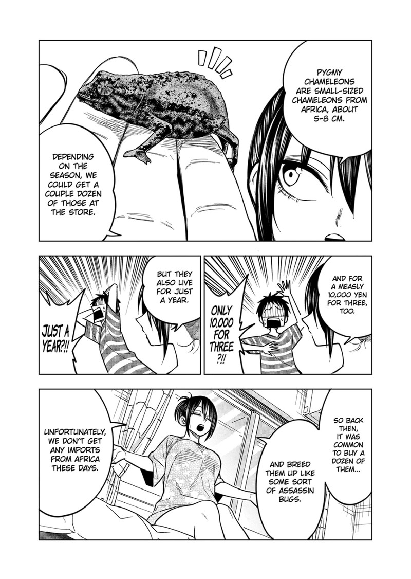 Himitsu No Reptiles 123 5