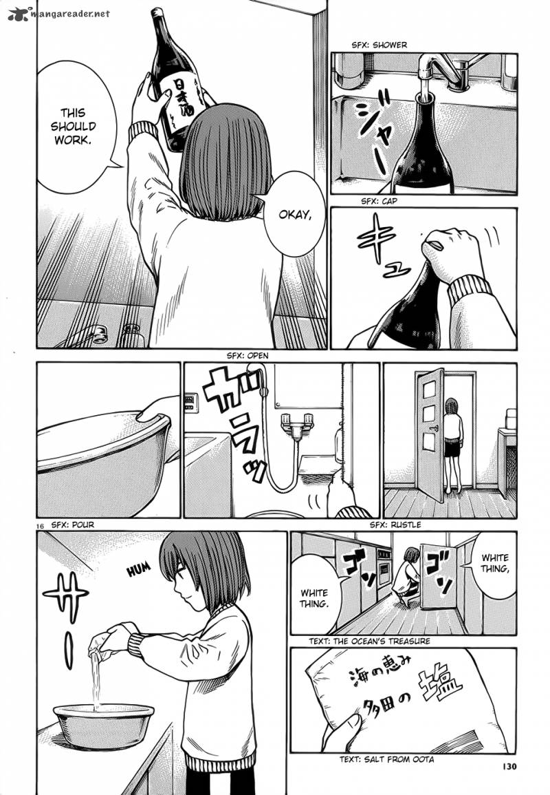 Hinamatsuri 37 17