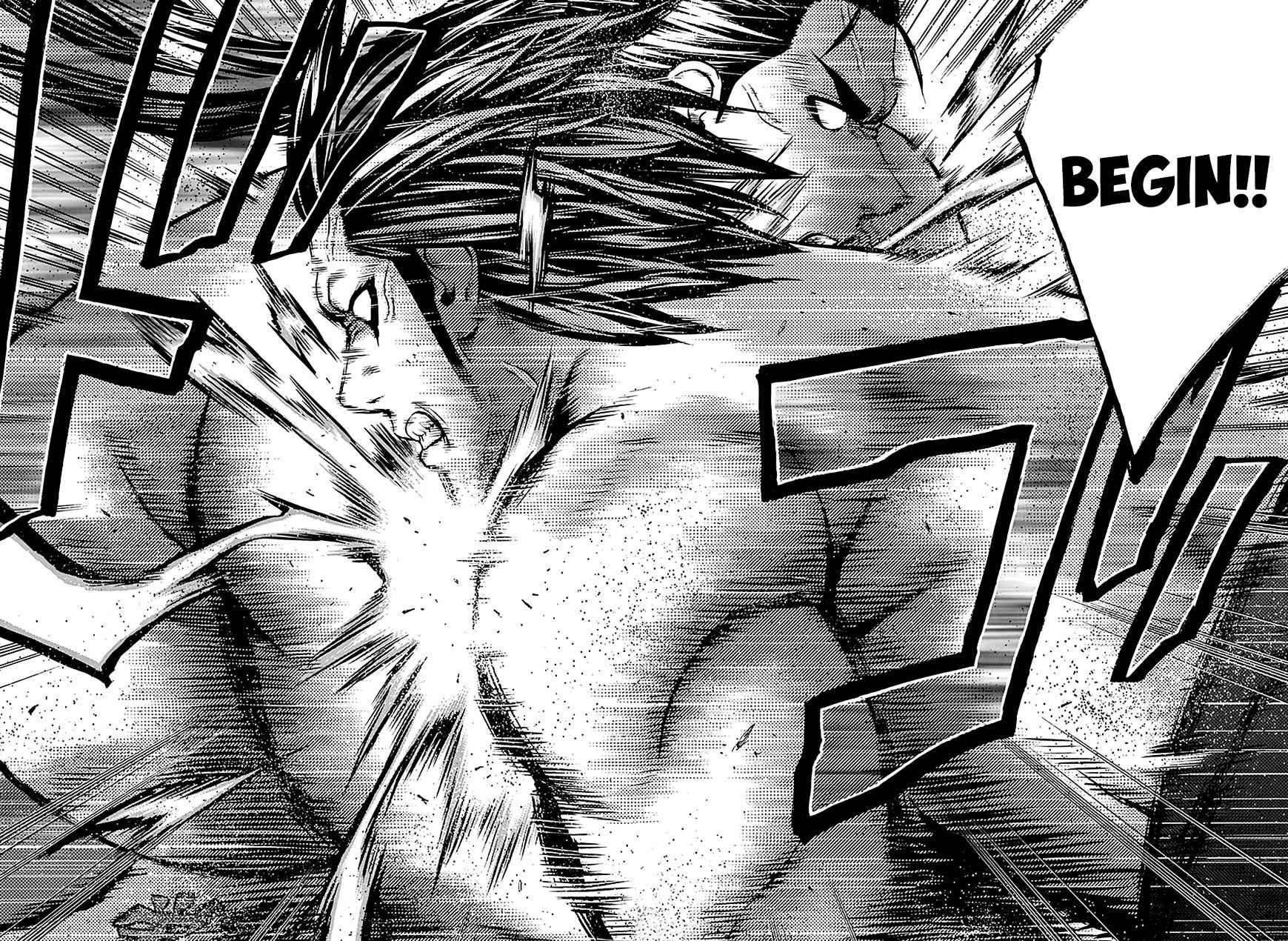 Hinomaru Zumou 110 9