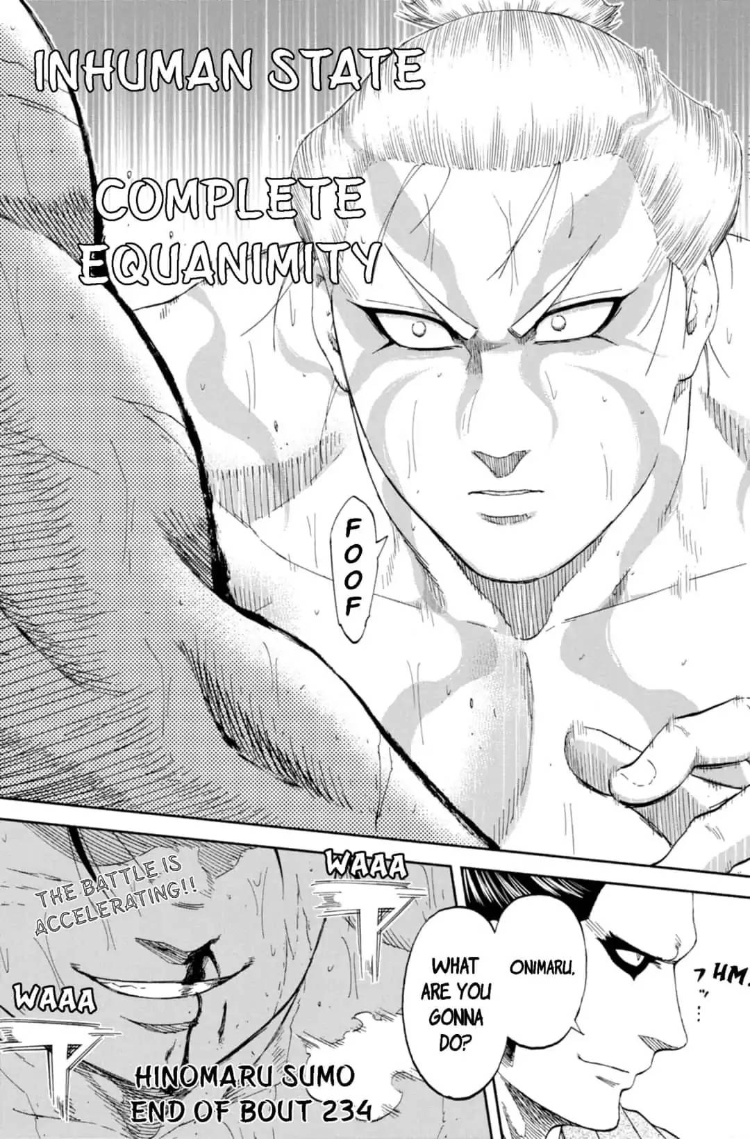 Hinomaru Zumou 234 19