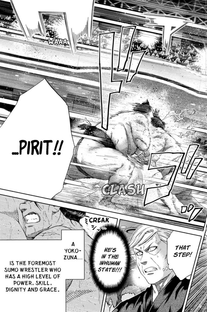 Hinomaru Zumou 247 15