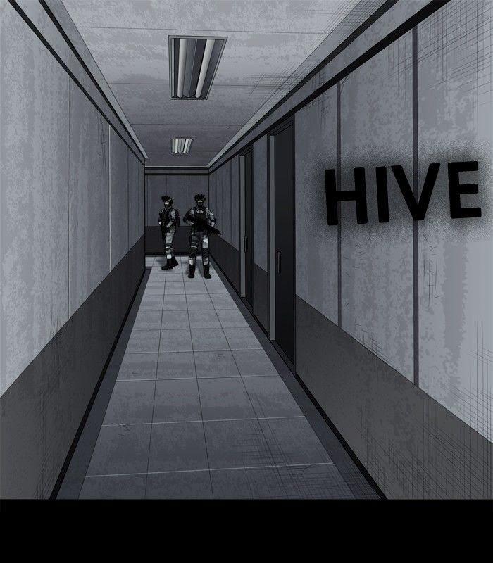Hive 155 1