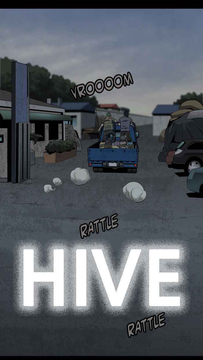 Hive 37 1