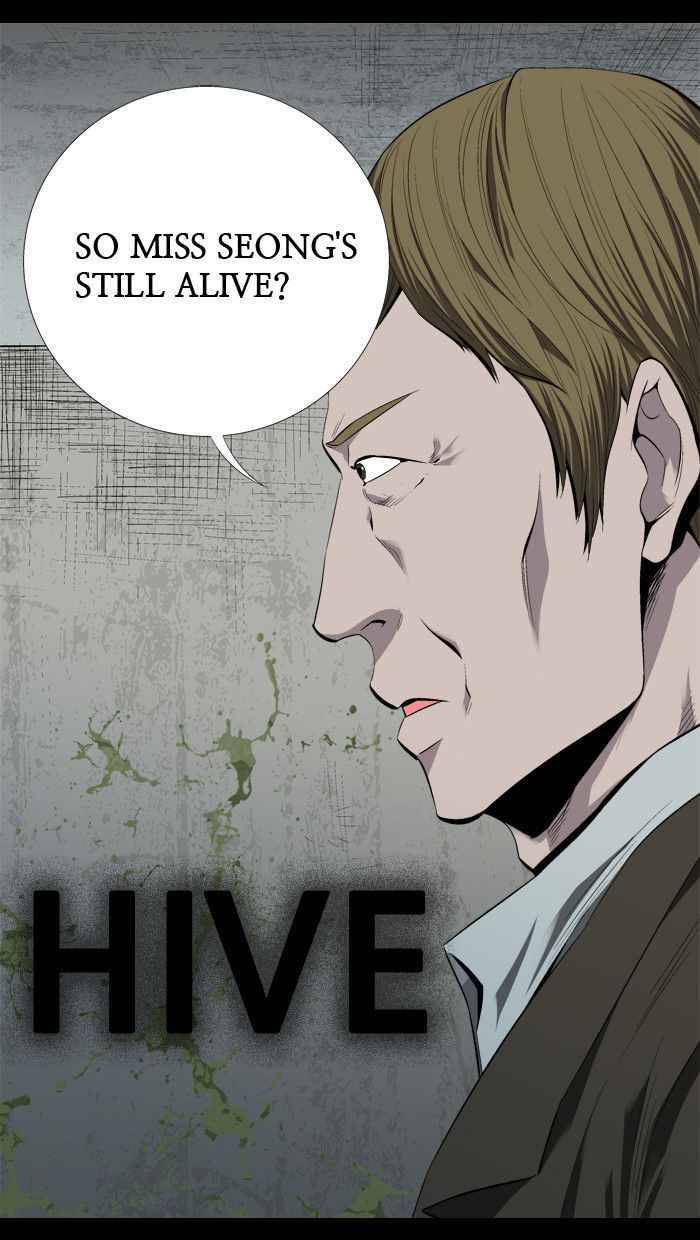 Hive 44 1