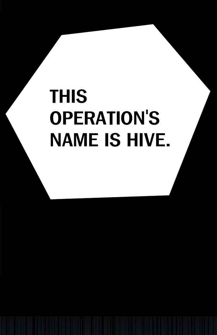 Hive 59 81