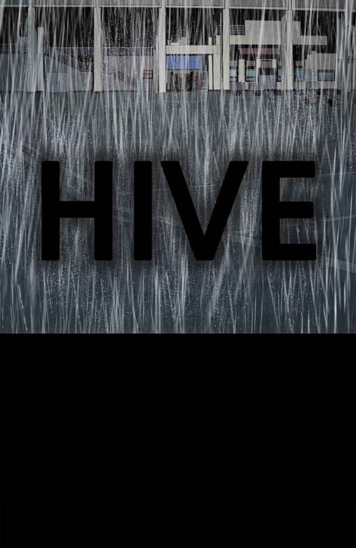 Hive 63 2
