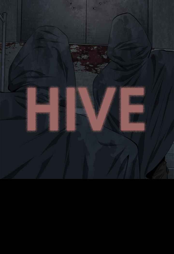Hive 65 2