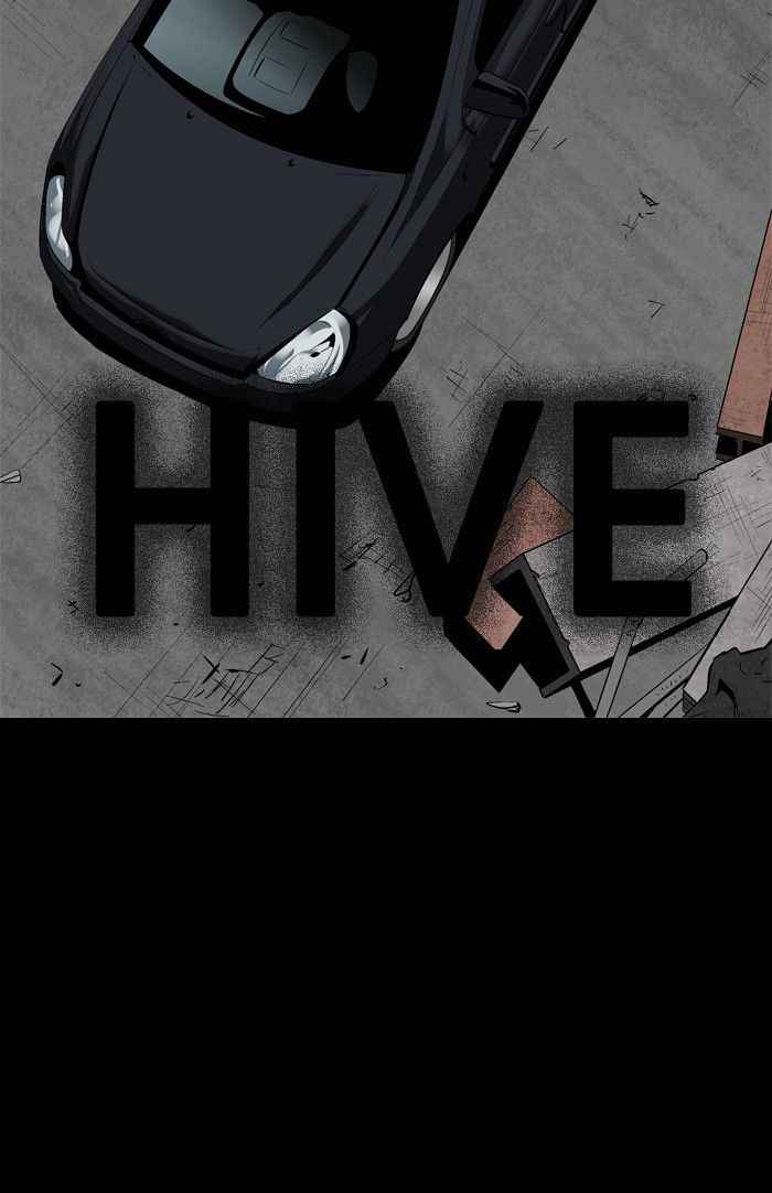 Hive 72 2