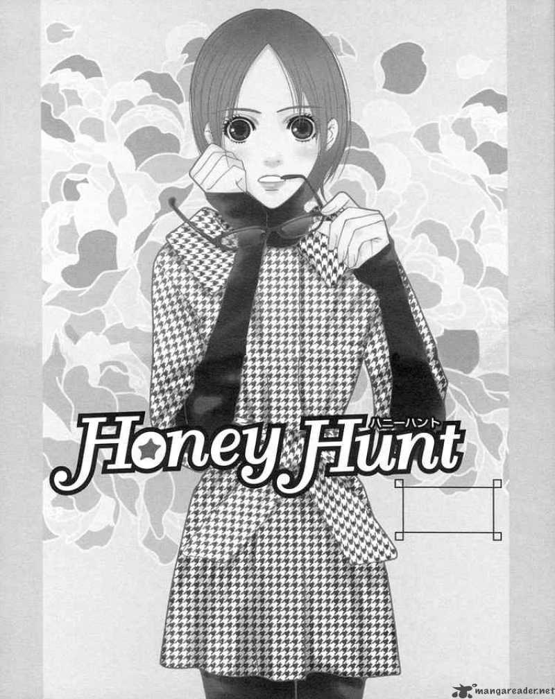 Honey Hunt 1 4