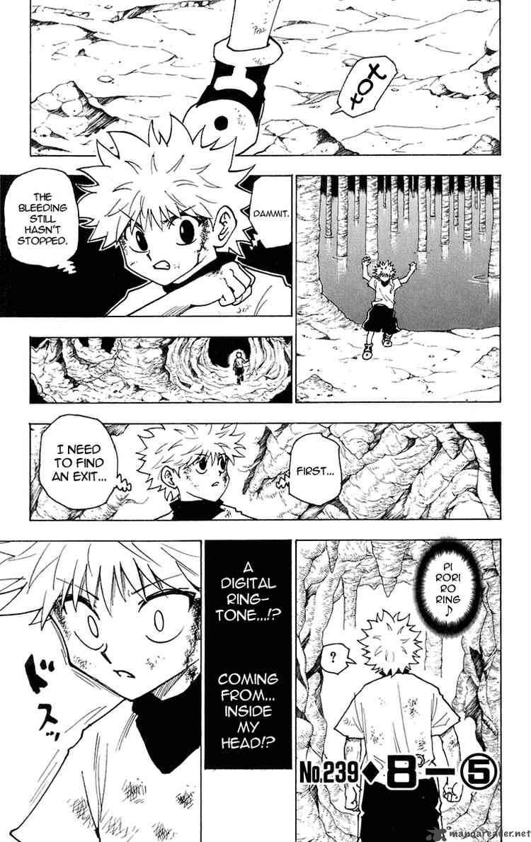 Hunter X Hunter 239 1