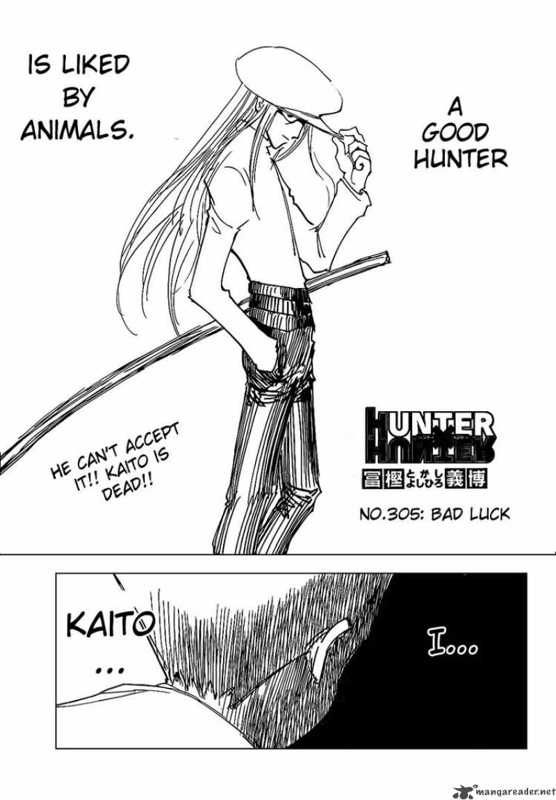 Hunter X Hunter 305 1