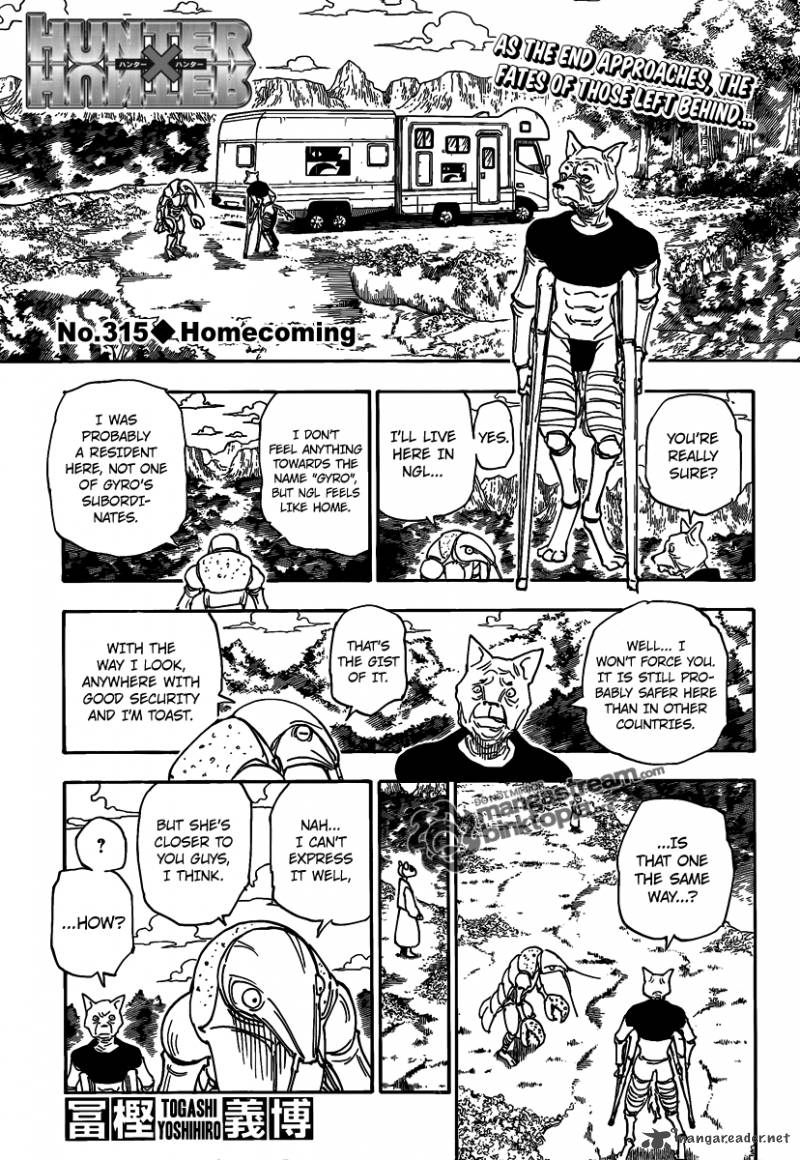 Hunter X Hunter 315 1