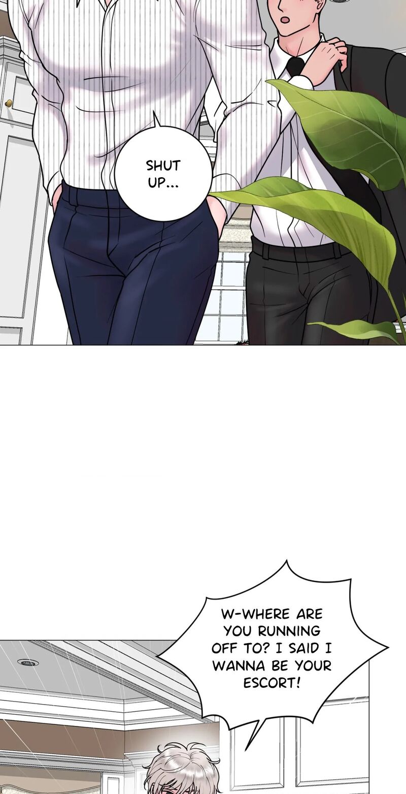Illusion 11 13